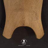 Filipino Turtle Motif Shield