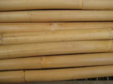 Serrada Student Stick pack (10 pairs)